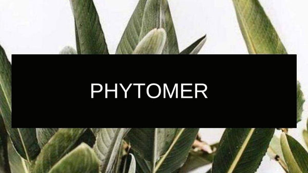 Gamme Phytomer (visage &amp; corps)